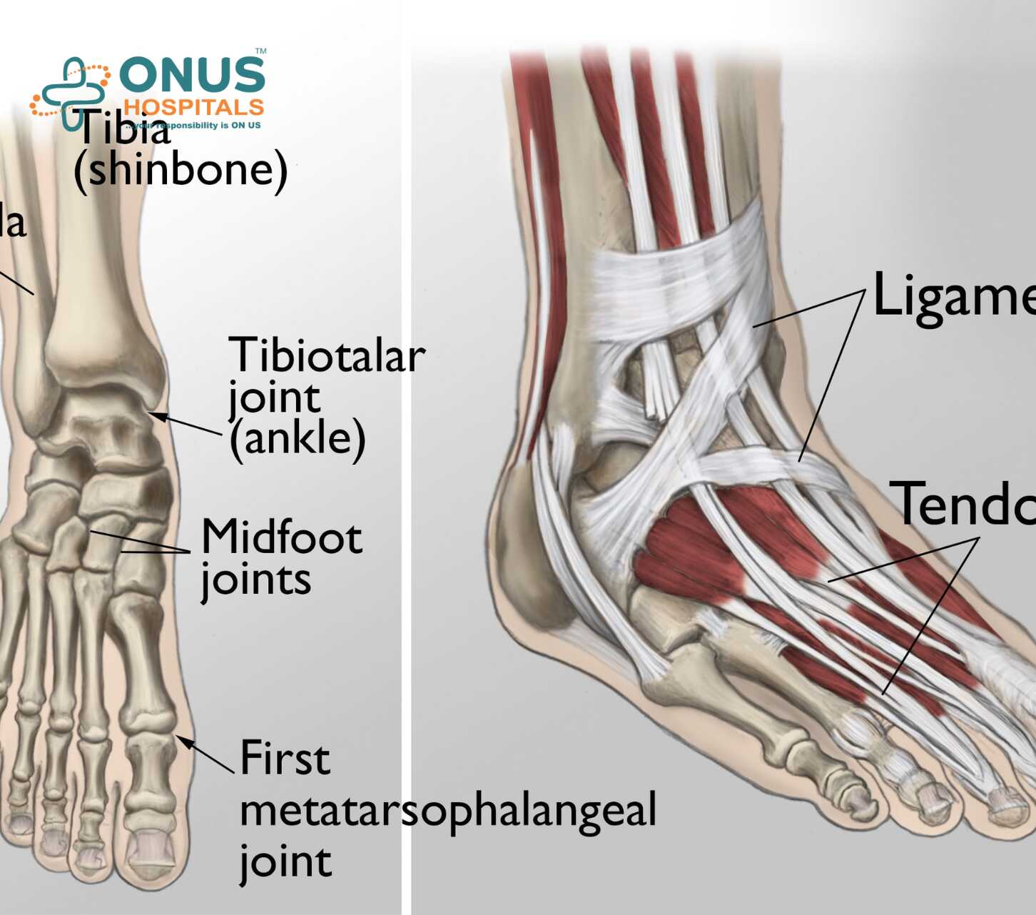 Foot and ankle Injury